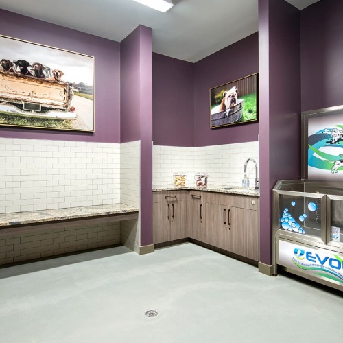 Pet Spa pet spa with areas for washing and drying